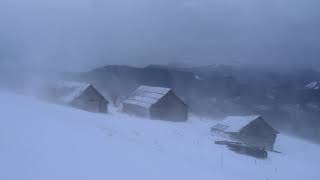 Fuerte tormenta de nieve * Tormenta de invierno en las montañas de Ucrania * Viento aullador