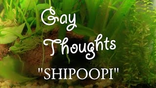 Gay Thoughts "SHIPOOPI"