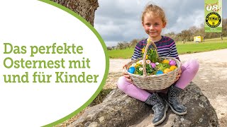 Eigenes Osternest perfekt mit und für Kinder: mit leckeren Eiern und Kresse