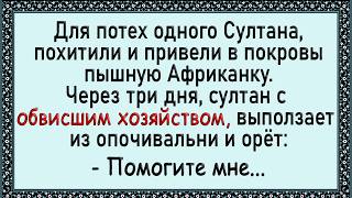 После такой ночи у Султана распух! Сборник свежих анекдотов! Юмор!