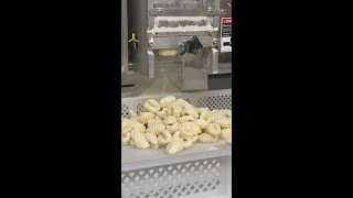 Arcobaleno Pasta Equipment - Making Gnocchi with AMP20 and AGX2