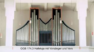 GGB 174,3 Halleluja-Ruf und Vers