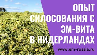 ЭМ силос в Нидерландах