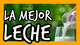 🥛¿Cual es la MEJOR LECHE para hacer el KEFIR DE LECHE?