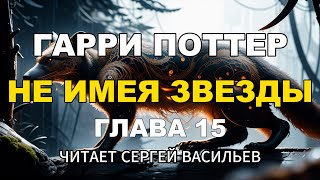 Не имея звезды - Глава 15 | Гарри Поттер (аудиокнига Васильев С.)