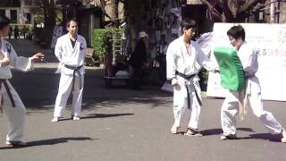 Karate Demo, Waseda University, Tokyo