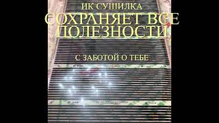 ИК сушка трав, фруктов, овощей, орехов, чая, грибов, зелени, заготовка чая. Сохраним витамины