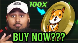 BABYDOGE COIN WILL 100X FROM HERE?!