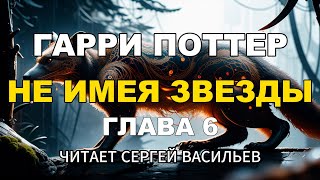 Не имея звезды - Глава 6 | Гарри Поттер (аудиокнига Васильев С.)