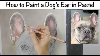 How to Paint a Dog's Ear in Pastel - Full Tutorial