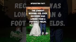 Incredible Wedding Veil: Longer than 6 Football Fields! | #interestingfacts