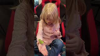 Frog pees on girl #frog #reptiles #reptiles #pets #reptilelover #amphibian #kids #treefrog