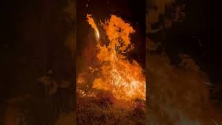 Burning of pond levee #farmlife #fire