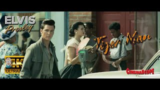 Elvis Presley - Tiger Man ⭐UHD⭐ AI 4K Enhanced "DeepFake Story"