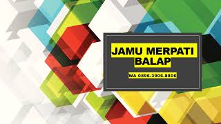 WA 0896-3906-8806 Jual jamu merpati balap agar terbang cepat AMPUH