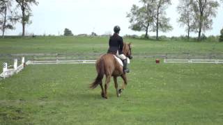 Elise Memorial Day 2014 Dressage Show 1