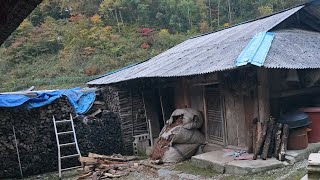 함백산 도깨비 탐방후 집구석에 왔는데 된장찌개 ᆢ