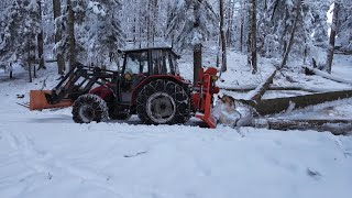 FPV-Sturmholz aufarbeiten & Holzrücken Teil1 | MF 4225 sound -Tiger 8to Seilwinde | wood harvsting