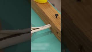 Remember this Trick! Secret of the Best Handymans ▶24 #shorts