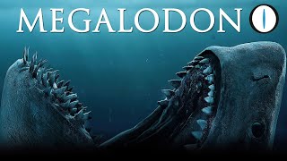 i SEGRETI del MEGALODONTE