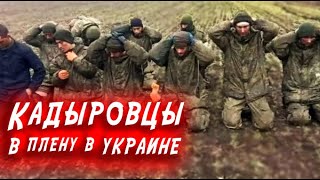 Кадыровцы в плену в Украине. Российские оккупанты в Украине. Про видео Володимира Золкина.