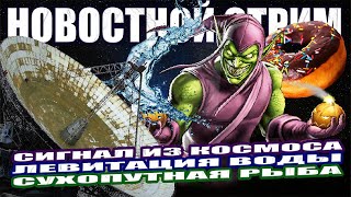 Сигнал из Космоса / «Гоблины» VS Полиция / Взрыв Звезды / Вселенная-Пончик / Левитация Воды СТРИМ