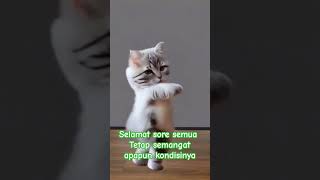 Tetap semangat  dalam kondisi apapun @kayubie