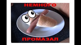 Приколы с котами с ОЗВУЧКОЙ – Я РЖАЛ ПОЛЧАСА – 180 СЕКУНД СМЕХА - DOMI SHOW