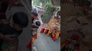 Atraksi Gulung TERGANAS Pembarong Reog Ponorogo