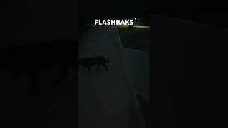 Flashbaks на трюк самокатах #flashcrash