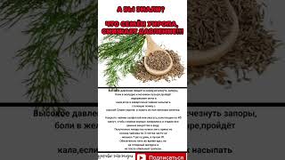 А ВЫ ЗНАЛИ? #здоровье #укроп #полезныесоветы#давление#полезно#продукты#питание#здоровыйобраз#польза