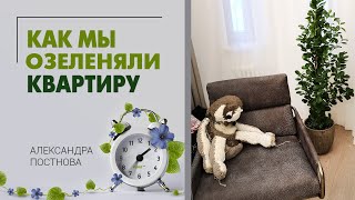 Озеленение квартиры - что остается за кадром. От начала до результата проходит всего 10 дней.