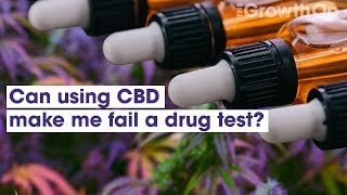 Can using CBD make me fail a drug test? | Weed Easy