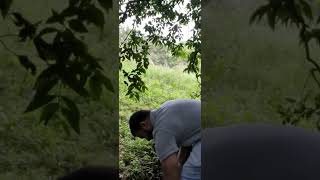 Cachoeira perdida no condado em Alagoa-MG