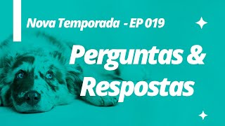 Perguntas e Respostas: Nova Temporada - Ep 019