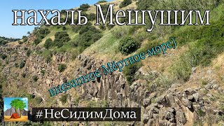 Пеший туризм в Израиле. Нахаль Мешушим и нахаль Эль Аль. Мёртвое море и Эйн Бокек.