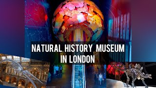 The Natural History Museum is in South Kensington in London || Blue Whale Skeleton || Vlog- 113