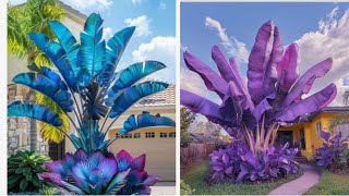 very beautiful giant plants// beautiful and unique plants