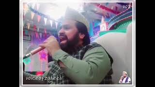 Seyad Zabeeb Masod New Kalam Muharram ul Haram #foryou #youtubeshorts