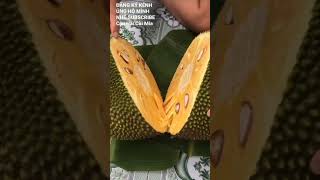 jackfruit is delicious #shorts