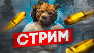 Первый СТРИМ! Тестим настройки обс и просто общаемся.