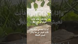 لنا لقاء قريب أحبتي