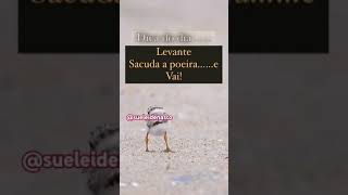 Levantei, levanta a poeira e vai. #entretenimento #humor