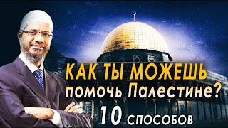 Как помочь Палестине! 10 советов от Закира Найка