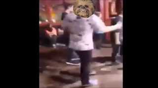 Chewy does the Shuffle