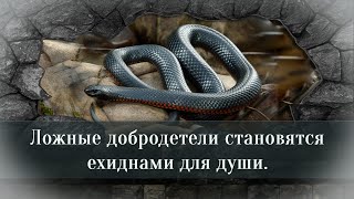 Ложные добродетели становятся ехиднами для души