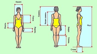 Правь-Яга учение о своих мерах или Гаяметрия