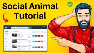 Social Animal Tutorial- How To Use Social Animal in the best way?