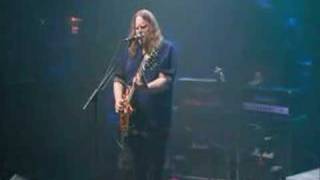 Gov't Mule - Banks of the Deep End (Tail of 2 Cities DVD)