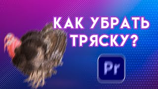 Как СТАБИЛИЗИРОВАТЬ видео или УБРАТЬ ТРЯСКУ в Adobe Premiere Pro | Премьер про Warp Stabilizer